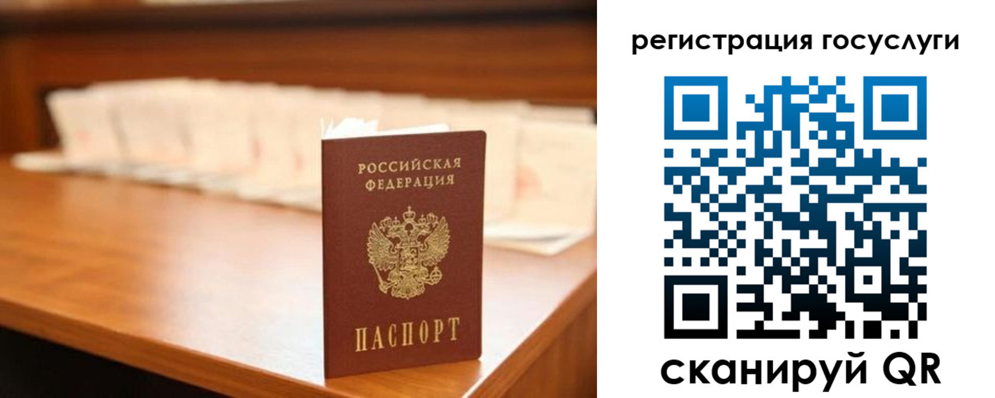 прописка в квартире в Голицыно